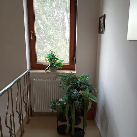 Отель El Boutique 3*