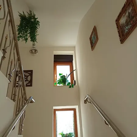 Отель El Boutique Констанца