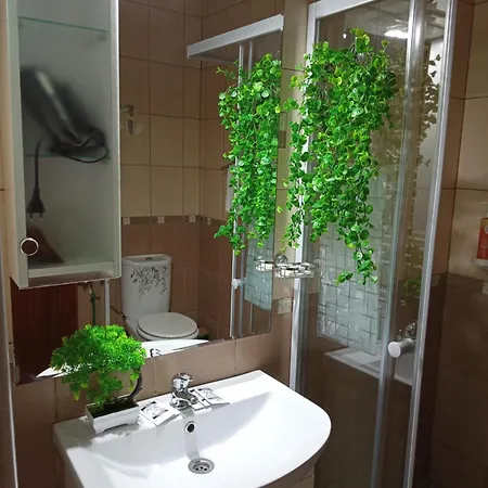 호텔 El Boutique 3*