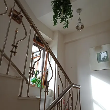 Отель El Boutique